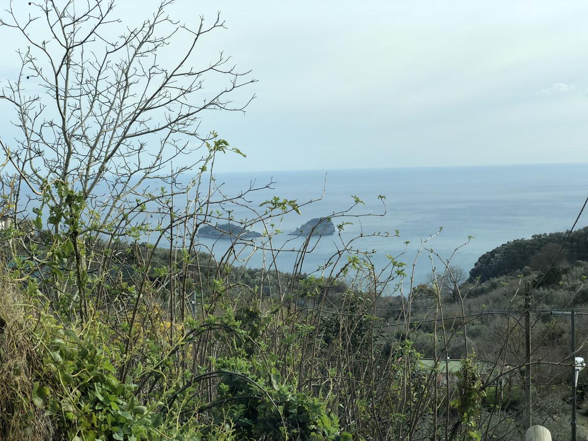 Casa Vacanze Villa San Francesco Sant'Angelo  Eksteriør bilde